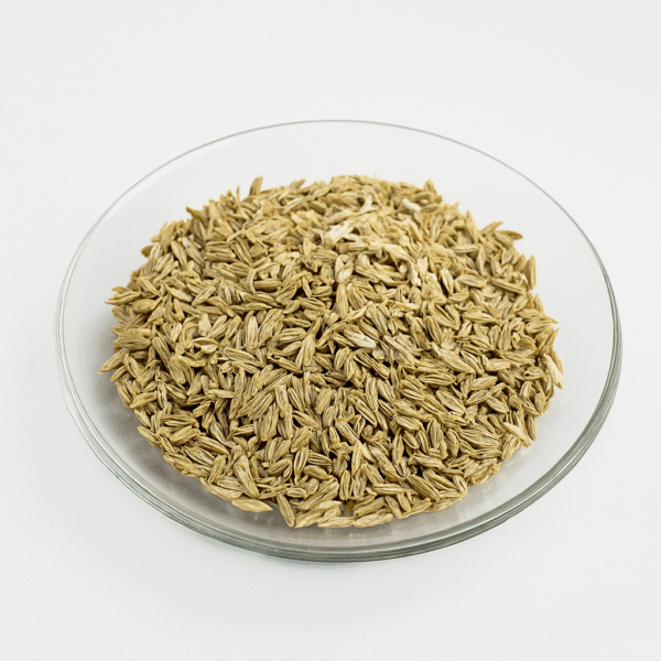 Fennel Seed