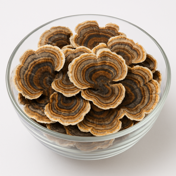 Turkey Tail Mushroom